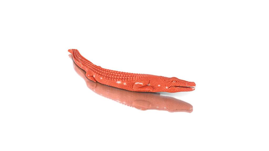 The hand-carved coral crocodile won third place in the “Objects of Art” category. Cutting Edge objects of art coral crocodile