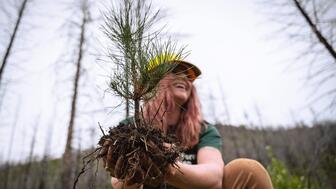 Columbia Gem House has announced its fourth annual online fundraising raffle, “Pebbles to Pines.” Columbia Gem House Pebbles to Pines fundraiser