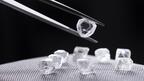 Rough diamonds mined at the Diavik Diamond Mine