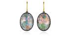 Larkspur & Hawk Lily Tapestry Earrings 