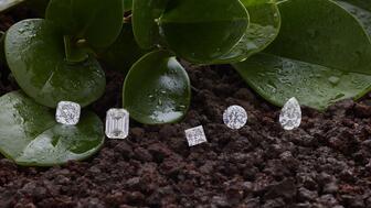Shree Ramkrishna Exports announced on International Reducing CO2 Emissions Day, which is observed every Jan. 28, that when it comes to manufacturing natural diamonds, its greenhouse gas emissions are now 30 percent below the industry average. Shree Ramkrishna Exports (SRK) diamonds