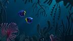 Bea Bongiasca Animali Tarallo Collection Royal Blue Tang Fish “Dory”
